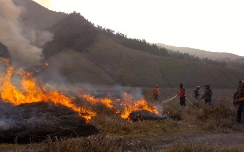 Kebakaran Gunung Bromo